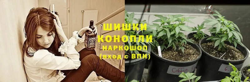 закладки  Вязники  Бошки Шишки Ganja 